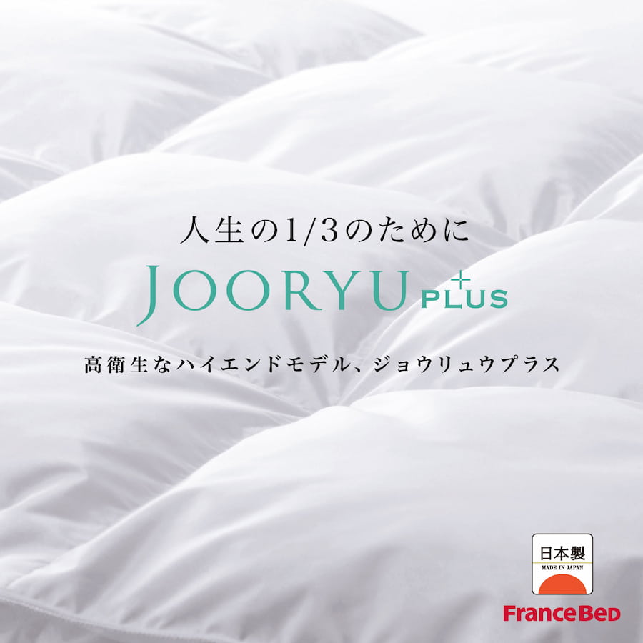 JOORYU+plus　羽毛布団　フランスベッド