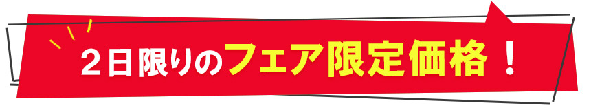 2日限りのフェア限定価格　フランスベッドスリープラス福岡