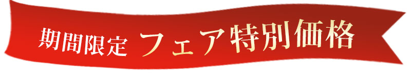 2日限りのフェア限定価格　フランスベッドスリープラス福岡